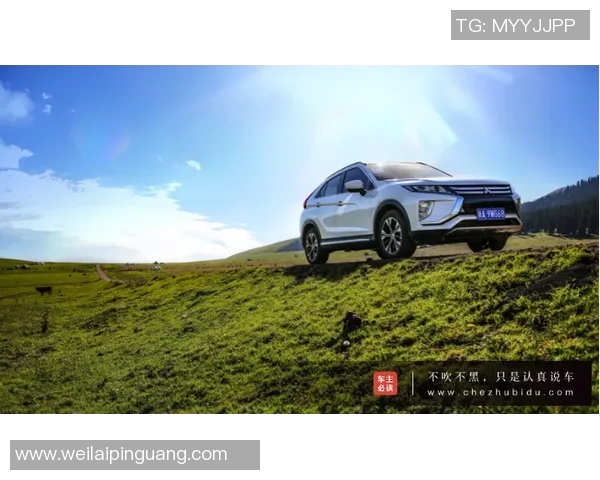 极限挑战与人生哲学：杨芳的深度对话与运动探索之旅