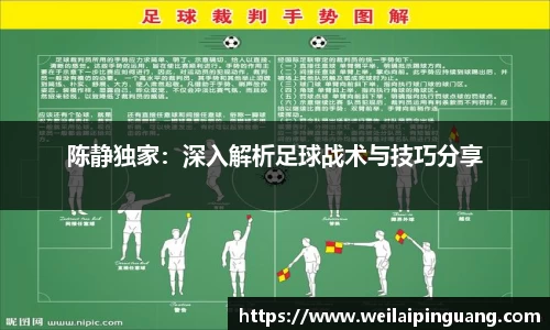 陈静独家：深入解析足球战术与技巧分享